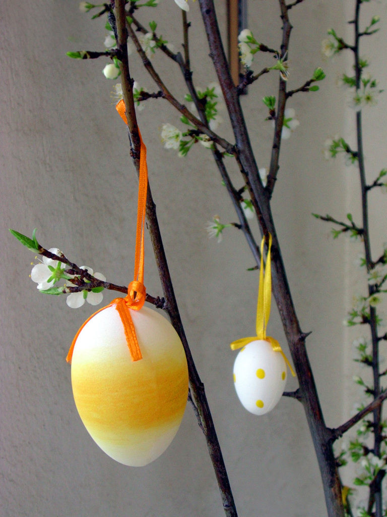 AceIQ_easter